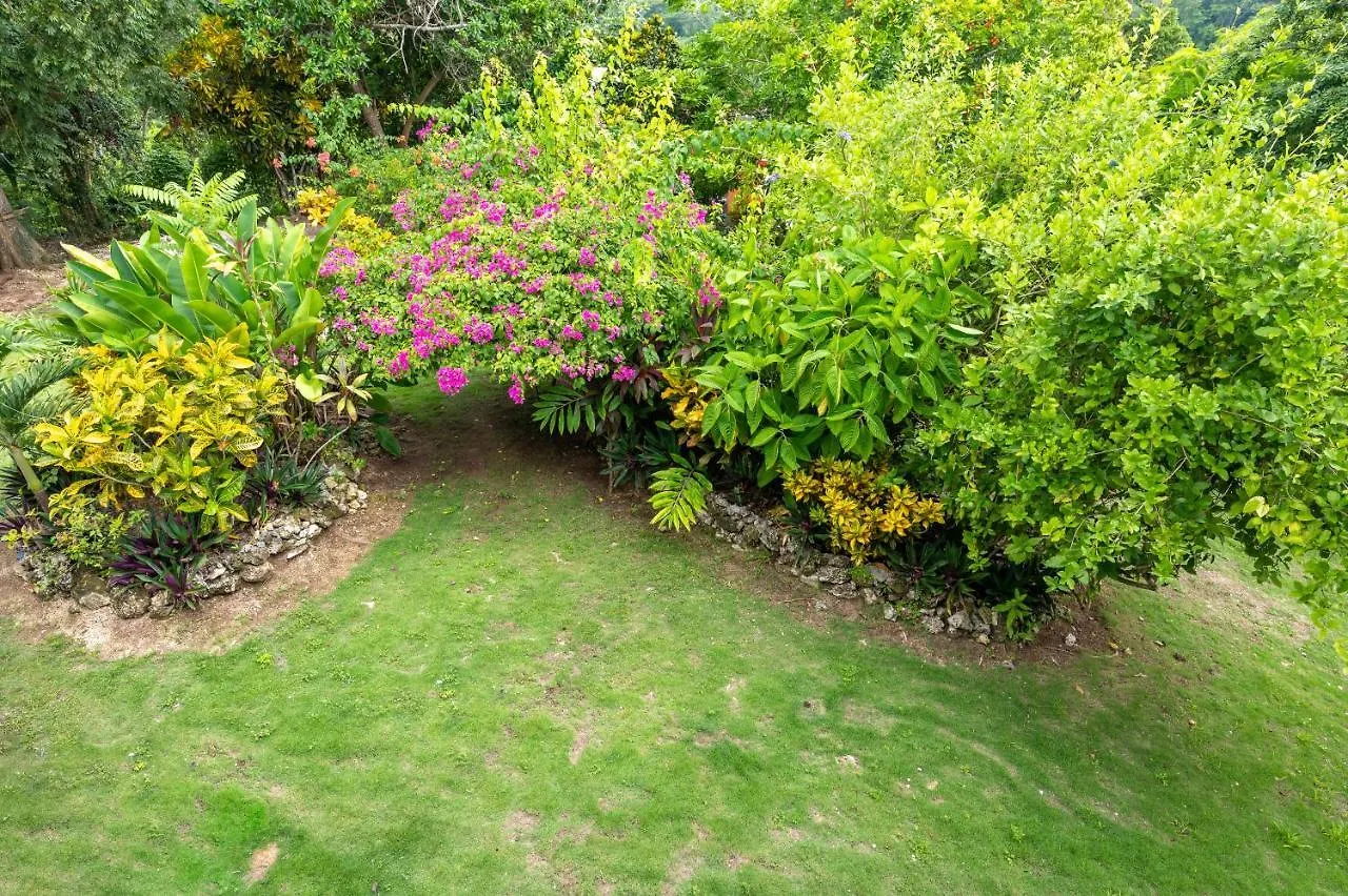 Apartment Coyaba 1 Bedroom Unit - Embrace Tranquility In The Hanover Countryside Orange Bay Jamaica