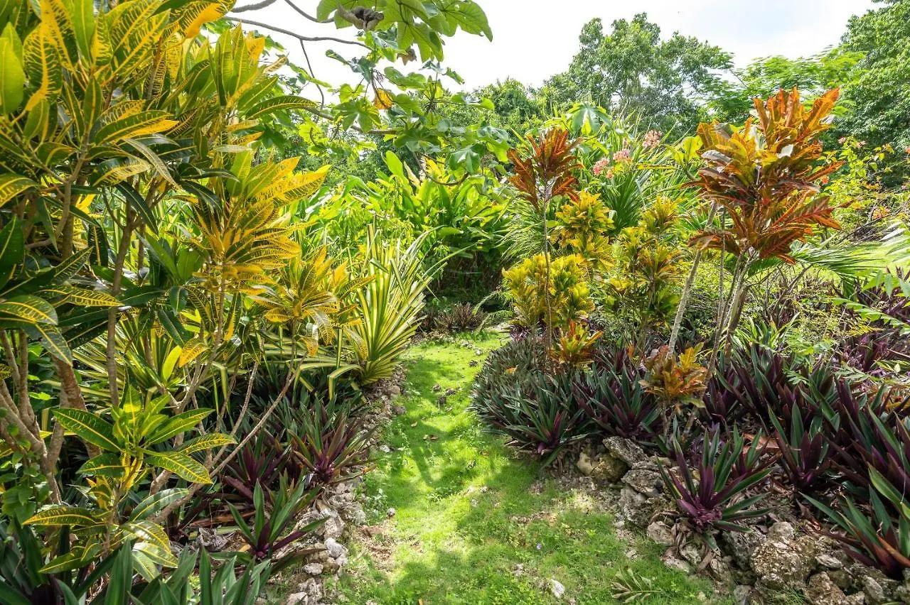 Coyaba 1 Bedroom Unit - Embrace Tranquility In The Hanover Countryside Orange Bay Apartment