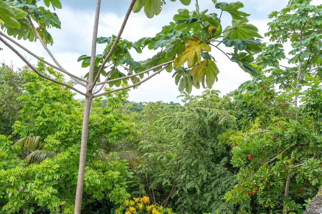 Coyaba 1 Bedroom Unit - Embrace Tranquility In The Hanover Countryside Orange Bay