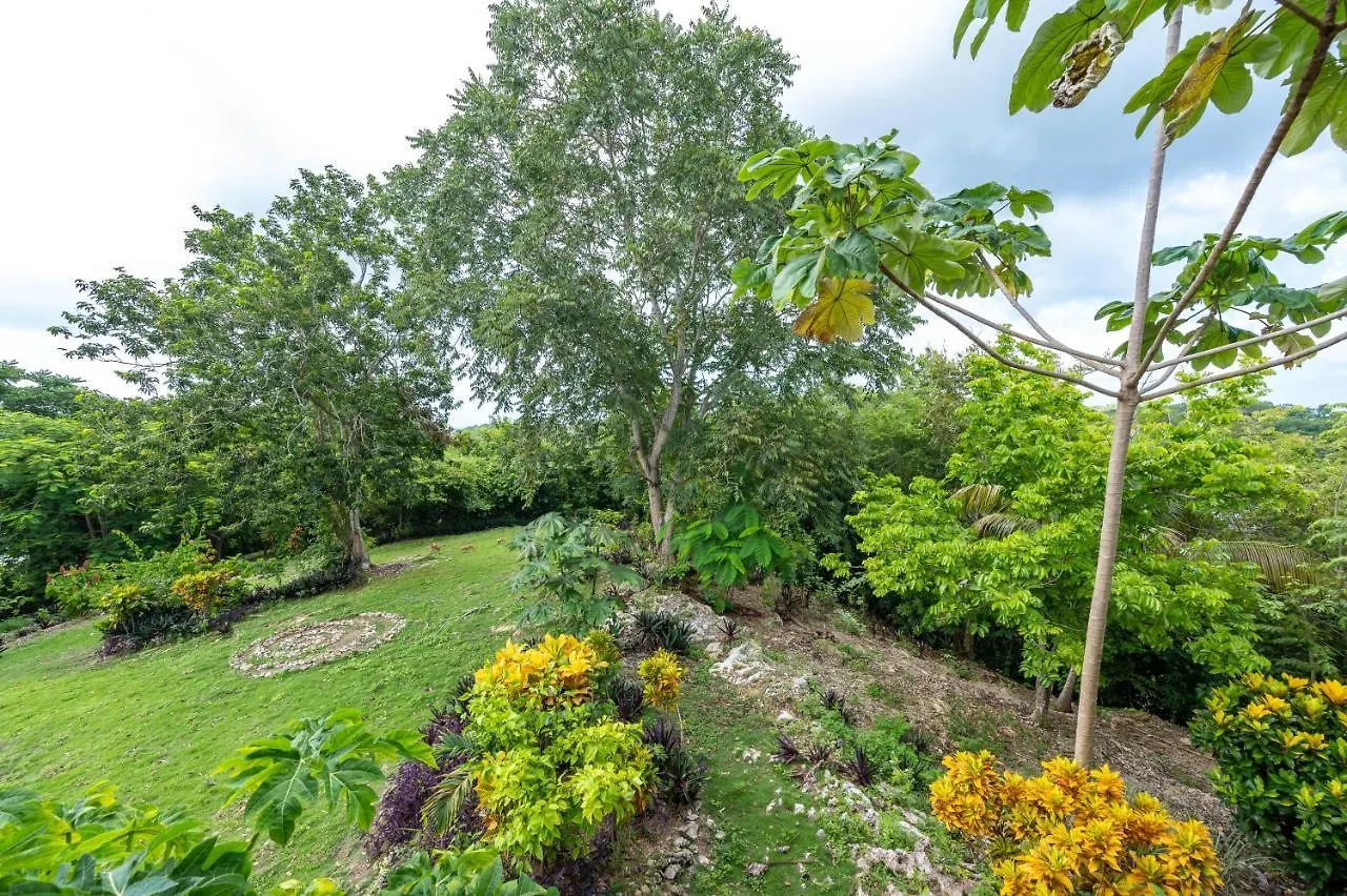 Apartment Coyaba 1 Bedroom Unit - Embrace Tranquility In The Hanover Countryside Orange Bay
