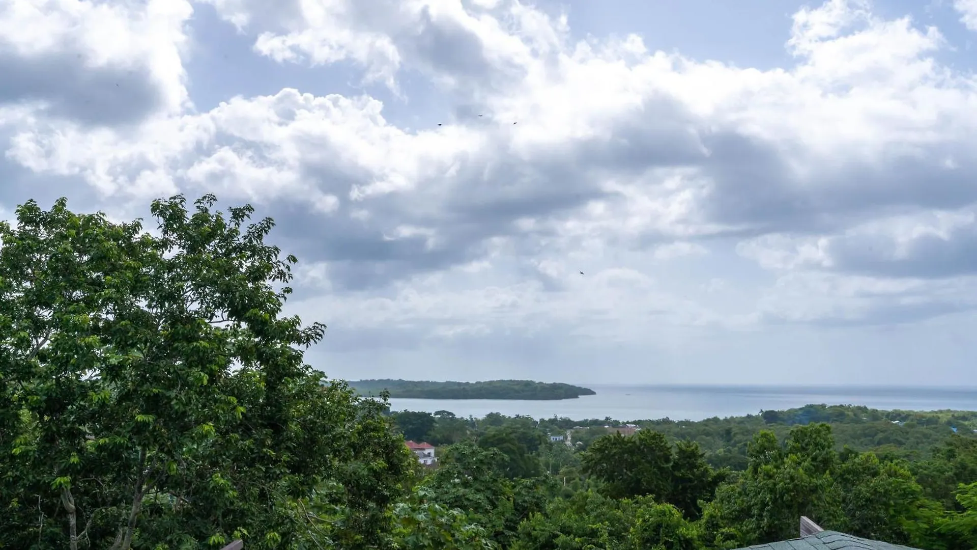 Coyaba 1 Bedroom Unit - Embrace Tranquility In The Hanover Countryside Orange Bay Jamaica
